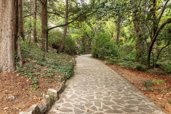 Stone Walkway Repair in Andover