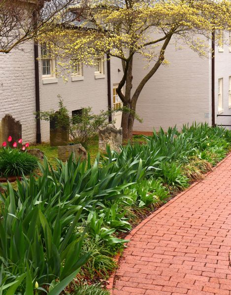 Brick Flatwork Repair in Andover